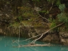 dsc04321