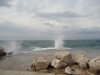 dsc02350